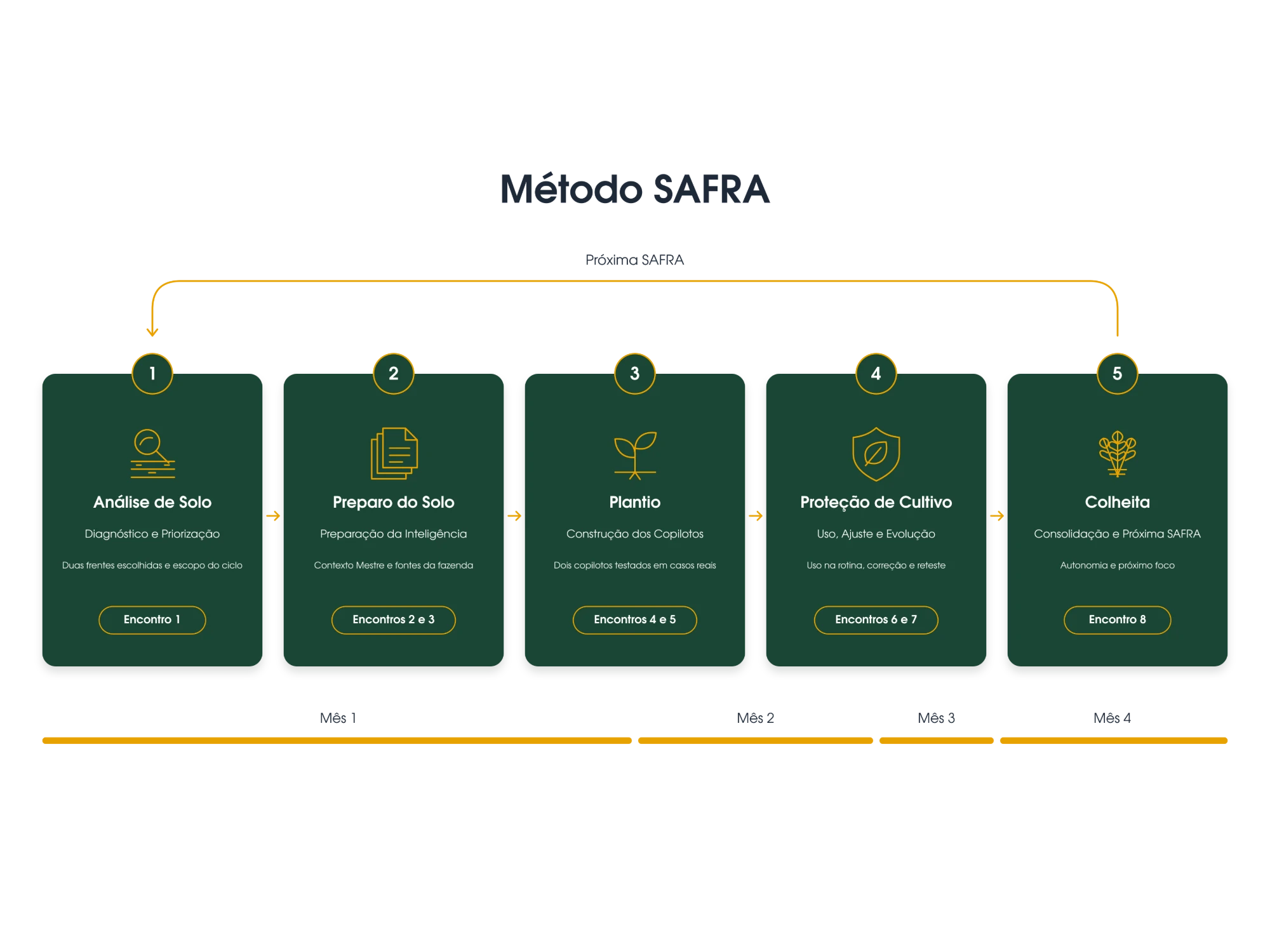 Mapa do Método SAFRA: as cinco fases com seus encontros — Análise de Solo (encontro 1), Preparo do Solo (2 e 3), Plantio (4 e 5), Proteção de Cultivo (6 e 7) e Colheita (8) — distribuídas nos 4 meses, com a seta de retorno para a próxima SAFRA
